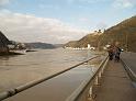 Schiff gesunken St Goarhausen Loreley P019